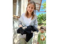 Havalandırma boşluğunda mahsur kalan yavru kedileri itfaiye kurtardı