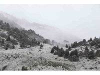 Kahramanmaraş Mayıs ayında beyaza büründü