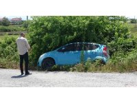 Böğürtlenler şarampole inen otomobile hava yastığı oldu, sürücünün burnu dahi kanamadı