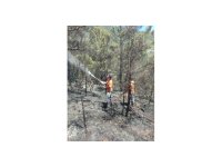 Gazipaşa’da çıkan orman yangınında 1 dönüm alan zarar gördü