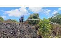 Samandağ’dan çıkan bahçe yangını söndürüldü