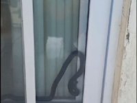 Eve giren yılan korkuttu