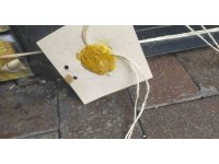 Alanya’da belediyeden turiste fahiş fiyattan satış yapan işletmeye ceza