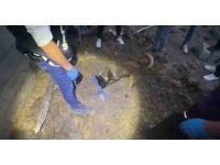 Polis köpeği Jessie, toprağa gömülü 820 bin hapı buldu