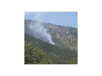 Saimbeyli’de çıkan orman yangını kontrol altIna alındı