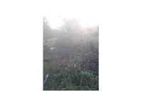 Yıldırım düşmesi sonucu baraka yandı, 3 koyun telef oldu