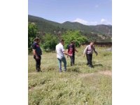 Çekirge ile mücadele başlatıldı