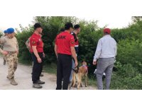 Mısır tarlasında kaybolan bir kişi özel eğitimli köpeklerle aranıyor