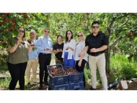 Kaymakam Altun, kırsaldaki çalışmaları inceledi