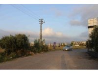 Sabah sporunda köpeklerin saldırısına uğrayan kadın kabusu yaşadı