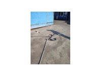 İşyerine giren yılan, doğal yaşam alanına bırakıldı