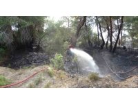 Manavgat’ta orman yangını ucuz atlatıldı
