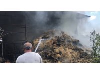 Samanlık yangınında 15 büyükbaş hayvan telef oldu