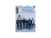 Otomobilden adeta göçmen fışkırdı