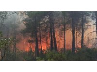 Arazide çıkan yangın ormana sıçradı, 25 dekar alan yandı