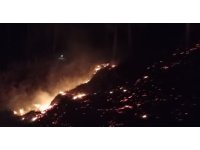 Mersin’de orman yangını: 10 dönüm alan zarar gördü