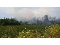 Antalya’da çıkan yangın ağaçlara sıçradı, vatandaş korkuya kapıldı