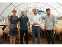 Seyhan Belediyesi Kurban Bayramına hazır