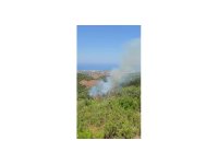 Helikopterle müdahale edilen orman yangını kısa sürede söndürüldü