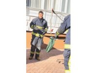 Park halindeki cipe giren yılanı, itfaiye ekipleri çıkardı