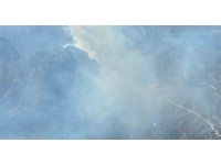 Mut’ta orman yangını