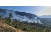 Mut’ta ormanlık alanda çıkan yangın kontrol altına alındı