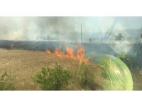 Burdur’da bin dönümün üzerinde ekin tarlası küle döndü