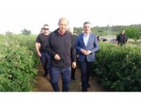 KKTC Cumhurbaşkanı Ersin Tatar: "Gül bir kültürdür"