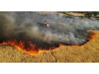 Bucak’ta aynı günde çıkan 6 farklı yangında 400 dekar alan yandı