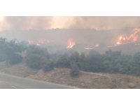Kahramanmaraş’ta iki ayrı alanda örtü yangını