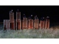 Salda Gölü çevresine bırakılan kızıl geyiklerden biri vatandaşlar tarafından görüntülendi