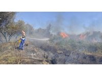 Osmaniye’de Kastabala Kuş Cenneti’nde çıkan yangın söndürüldü