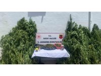 Kenevir serası kuran şahıs yakayı ele verdi