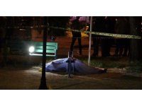 Arkadaşını bıçaklayarak öldüren, tahrayla da başkasını yaralayıp suçu alkole atan zanlı tutuklandı