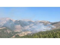 Kahramanmaraş’ta orman yangını: Ekipler müdahale ediyor