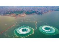 Denizde görsel şölen