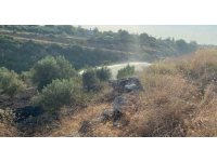 Osmaniye’de çıkan anız yangını zeytin bahçesine sıçradı