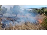 Çöplerden çıkan yangın, zeytin ağaçlarına zarar verdi