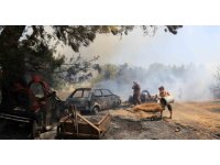 Antalya’da çıkan orman yangınında seralar büyük zarar gördü