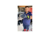 Motosikletin motor kısmına giren yılanı itfaiye yakaladı