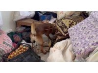 7 kilo esrar yakalatan şüpheli: "İçimlik alacaktık, uygun verince 4 arkadaş toplu aldık"