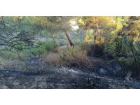 Defne’nde yanan traktör zarar gördü