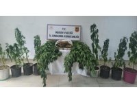 Mersin’de uyuşturucu operasyonu: 6 gözaltı