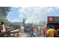 Seyir halindeki tomruk yüklü kamyon yandı