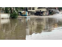 Şiddetli yağmur ve rüzgar ağaçları kökünden söktü, vinci devirdi