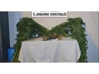 Mersin’de uyuşturucu üretip satan şüpheli yakalandı