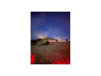 Kozan’da çıkan orman yangını kontrol altına alındı