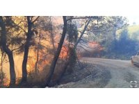 Adana’daki orman yangınında 10 ev tedbir amaçlı tahliye edildi