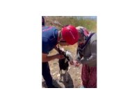 Kuyuya düşen keçi kurtarıldı