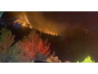 Kahramanmaraş’taki orman yangını 18 saat sonra kontrol altına alındı